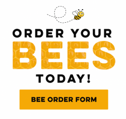 Order Your Bees
